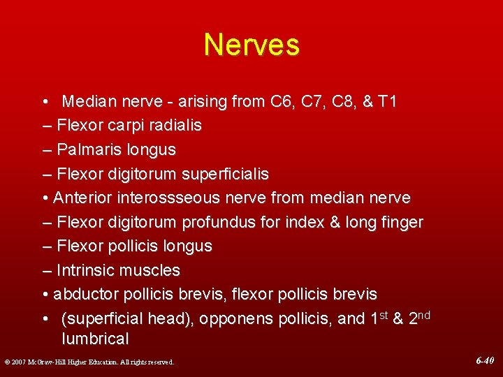 Nerves • Median nerve - arising from C 6, C 7, C 8, &