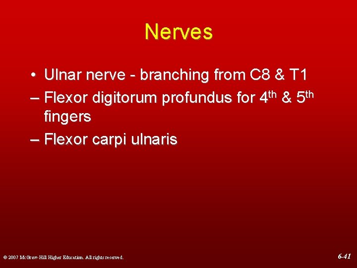 Nerves • Ulnar nerve - branching from C 8 & T 1 – Flexor