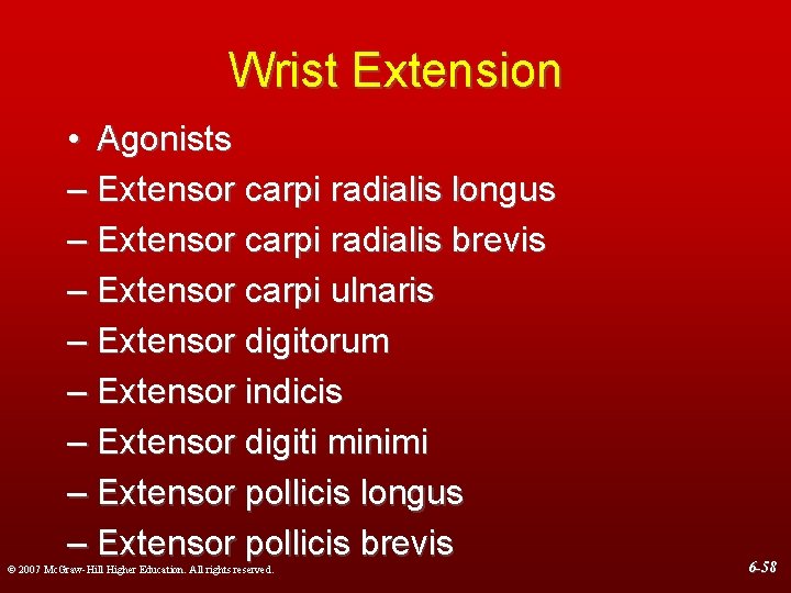 Wrist Extension • Agonists – Extensor carpi radialis longus – Extensor carpi radialis brevis