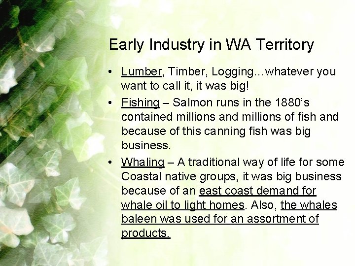 Early Industry in WA Territory • Lumber, Timber, Logging…whatever you want to call it,