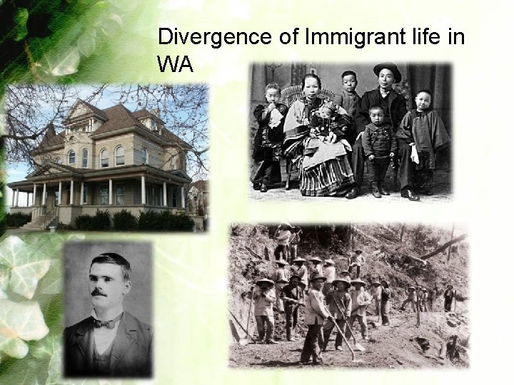 Divergence of Immigrant life in WA 