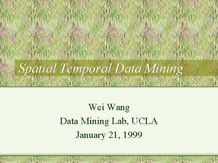 Spatial Temporal Data Mining Wei Wang Data Mining Lab, UCLA January 21, 1999 