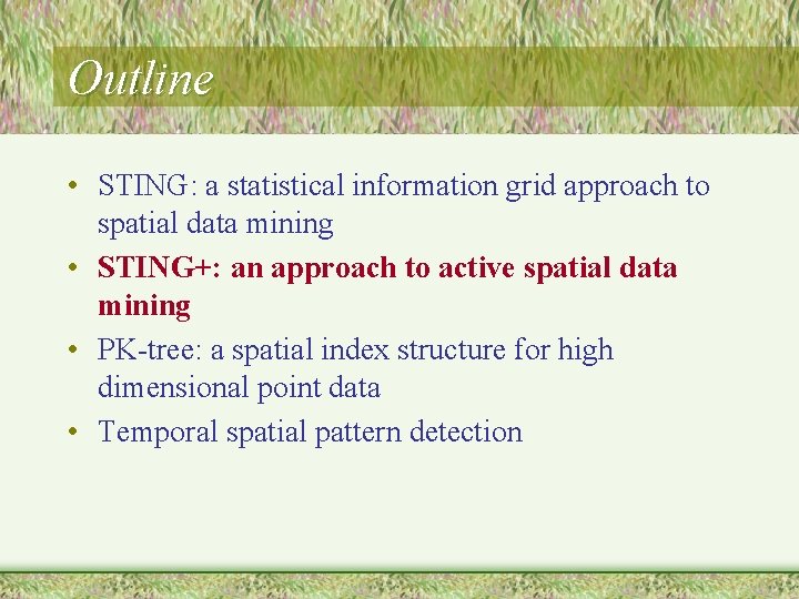 Outline • STING: a statistical information grid approach to spatial data mining • STING+: