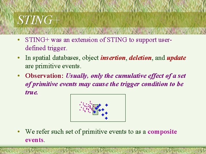 STING+ • STING+ was an extension of STING to support userdefined trigger. • In