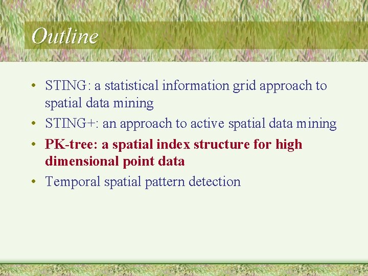 Outline • STING: a statistical information grid approach to spatial data mining • STING+: