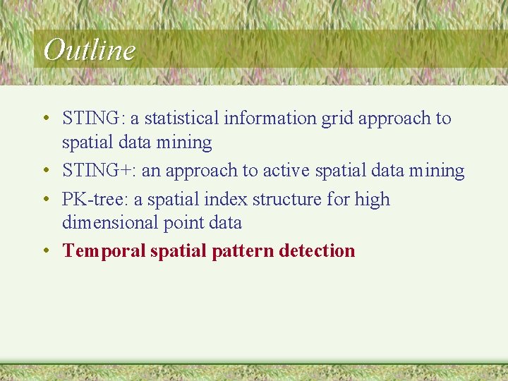 Outline • STING: a statistical information grid approach to spatial data mining • STING+: