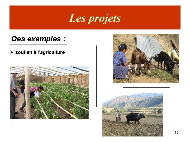 Les projets Des exemples : Ø soutien à l’agriculture 17 