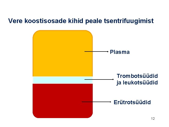 Vere koostisosade kihid peale tsentrifuugimist Plasma Trombotsüüdid ja leukotsüüdid Erütrotsüüdid 12 