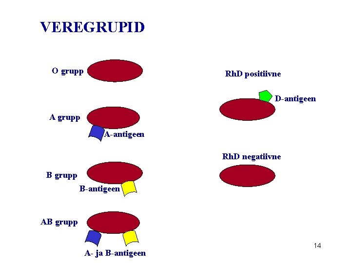 VEREGRUPID O grupp Rh. D positiivne D-antigeen A grupp A-antigeen Rh. D negatiivne B