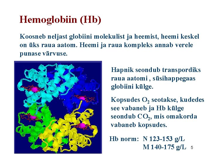 Hemoglobiin (Hb) Koosneb neljast globiini molekulist ja heemist, heemi keskel on üks raua aatom.