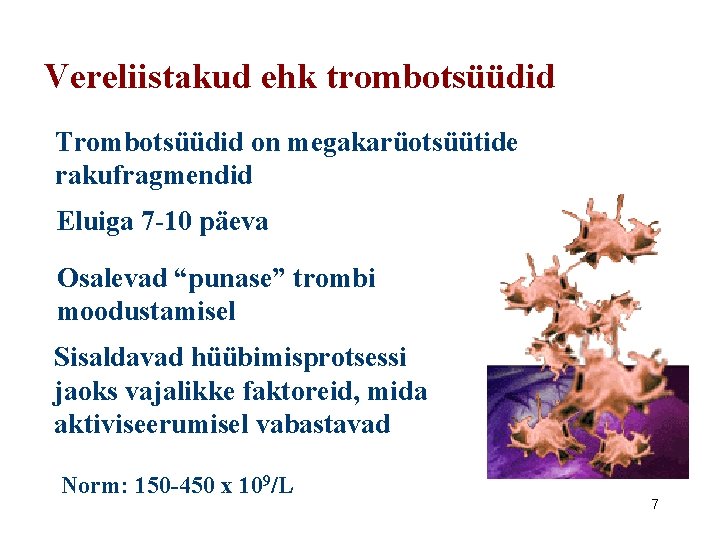 Vereliistakud ehk trombotsüüdid Trombotsüüdid on megakarüotsüütide rakufragmendid Eluiga 7 -10 päeva Osalevad “punase” trombi