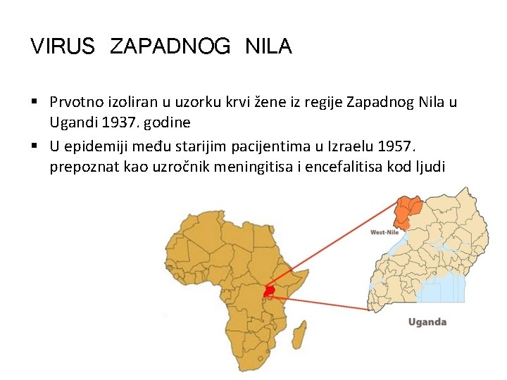 VIRUS ZAPADNOG NILA § Prvotno izoliran u uzorku krvi žene iz regije Zapadnog Nila