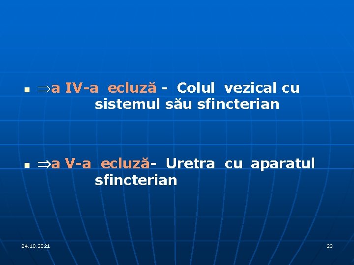 n n Þa IV-a ecluză - Colul vezical cu sistemul său sfincterian Þa V-a