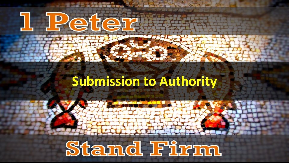 Submission to Authority 