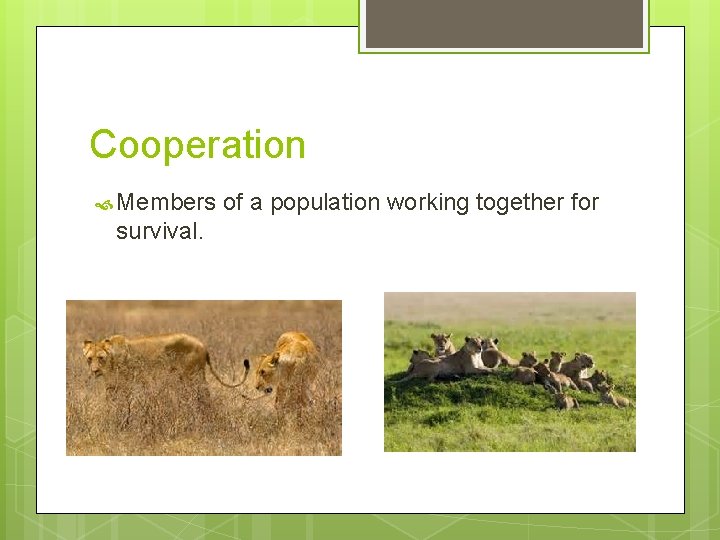 Ecosystems Essential Question How do organisms interact with