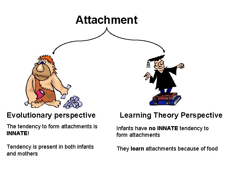 Attachment Evolutionary perspective Learning Theory Perspective The tendency to form attachments is INNATE! Infants Attachment Evolutionary perspective Learning Theory Perspective The tendency to form attachments is INNATE! Infants