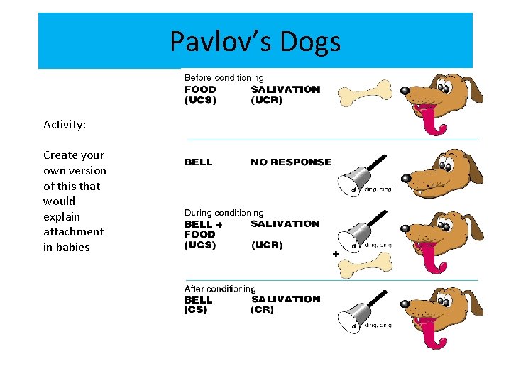 Pavlov’s Dogs Activity: Create your own version of this that would explain attachment in