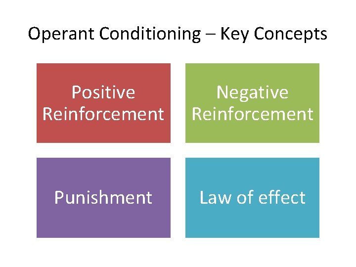 Operant Conditioning – Key Concepts Positive Reinforcement Negative Reinforcement Punishment Law of effect 