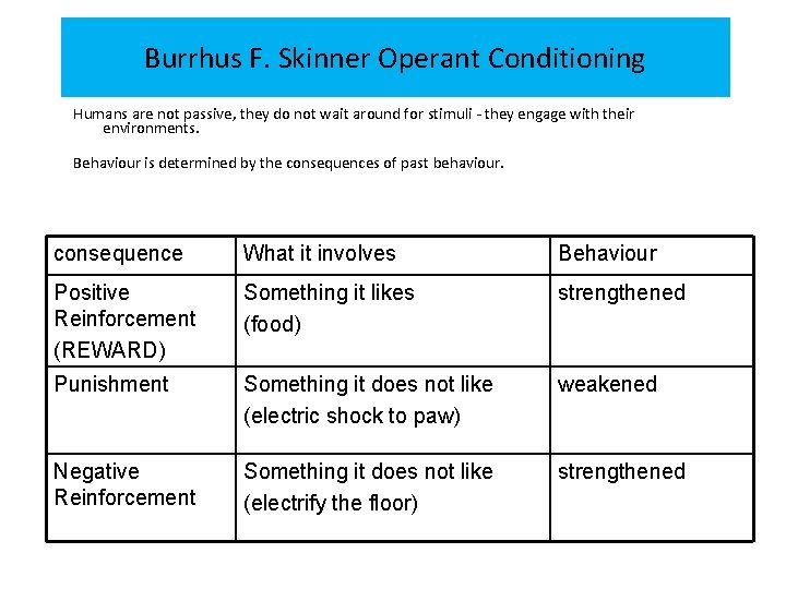 Burrhus F. Skinner Operant Conditioning Humans are not passive, they do not wait around