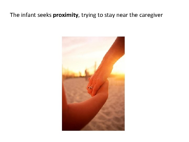 The infant seeks proximity, trying to stay near the caregiver The infant seeks proximity, trying to stay near the caregiver