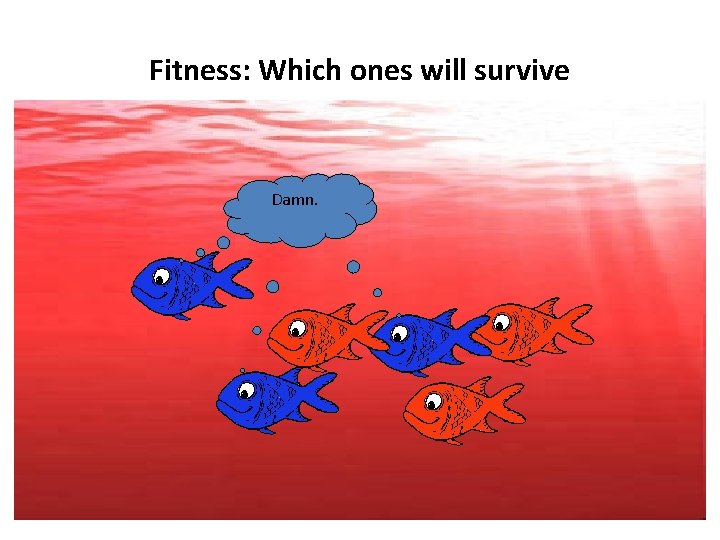 Fitness: Which ones will survive Damn. Arse. Fitness: Which ones will survive Damn. Arse.