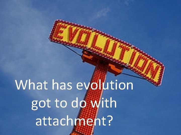 What has evolution got to do with attachment? 