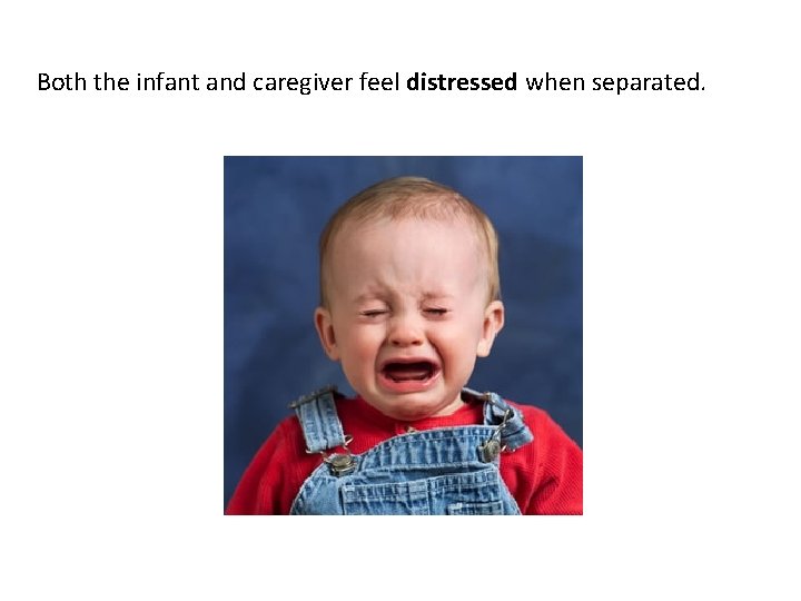 Both the infant and caregiver feel distressed when separated. Both the infant and caregiver feel distressed when separated.