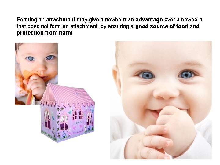Forming an attachment may give a newborn an advantage over a newborn that does Forming an attachment may give a newborn an advantage over a newborn that does