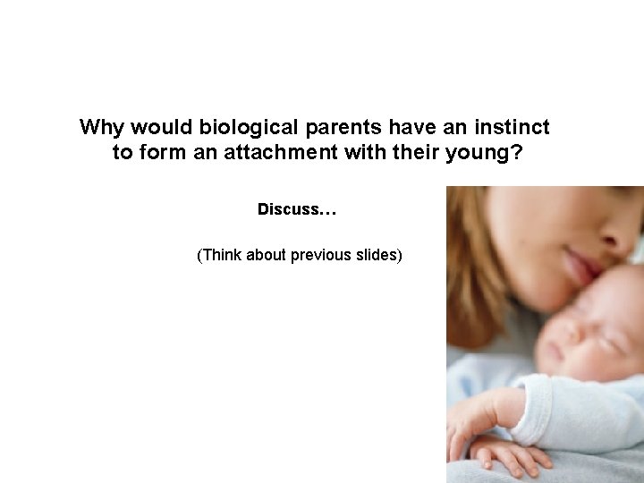 Why would biological parents have an instinct to form an attachment with their young?