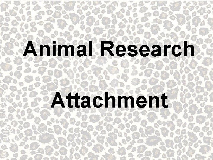 Animal Research Attachment 