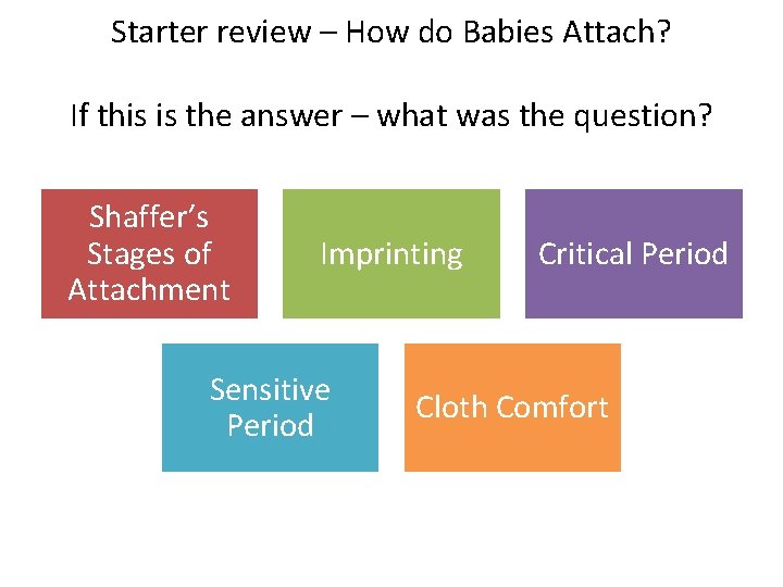 Starter review – How do Babies Attach? If this is the answer – what