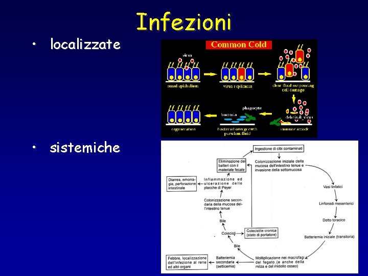  • localizzate • sistemiche Infezioni 