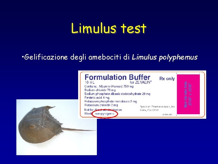 Limulus test • Gelificazione degli amebociti di Limulus polyphemus 