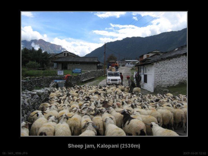Sheep jam, Kalopani (2530 m) 18 - IMG_1569. JPG 2007 -10 -08 12: 32