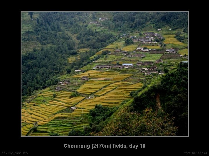 Chomrong (2170 m) fields, day 18 23 - IMG_2496. JPG 2007 -10 -15 15: