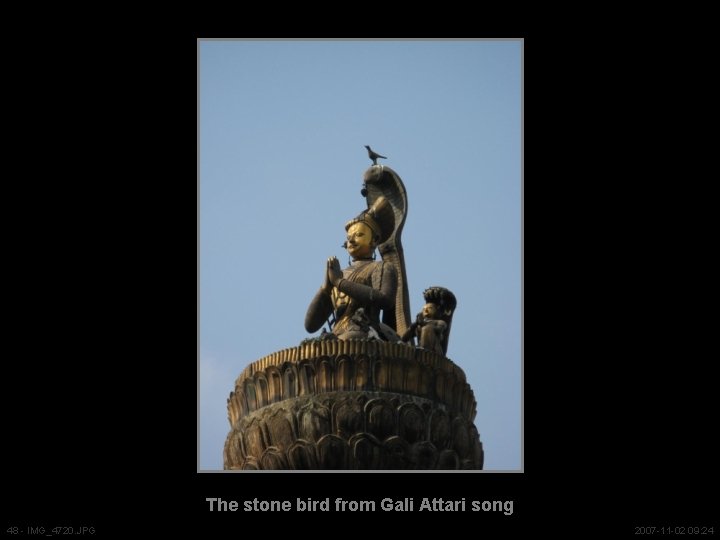 The stone bird from Gali Attari song 48 - IMG_4720. JPG 2007 -11 -02