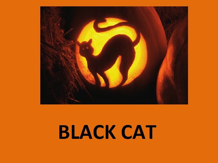 BLACK CAT 
