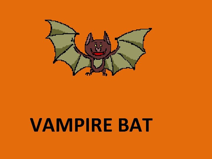 VAMPIRE BAT 