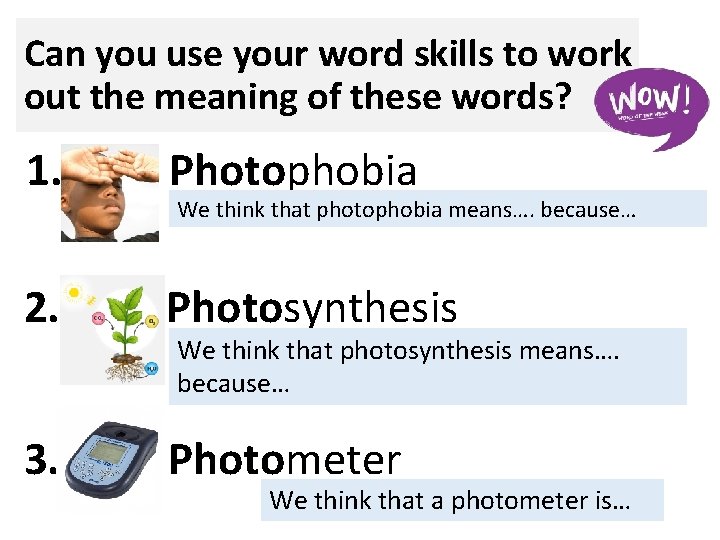 Root word of the week photo w b