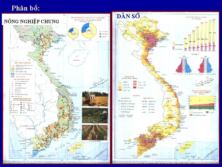 Phân bố: NÔNG NGHIÊ P CHUNG D N SÔ 