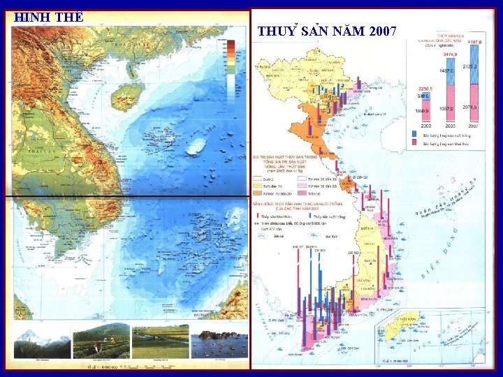 HI NH THÊ THUY SA N NĂM 2007 