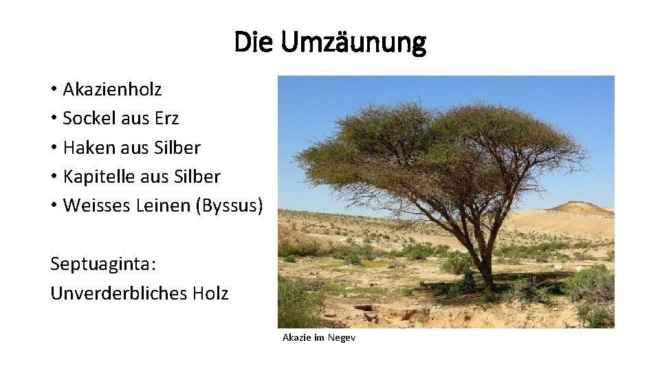 Die Umzäunung • Akazienholz • Sockel aus Erz • Haken aus Silber • Kapitelle