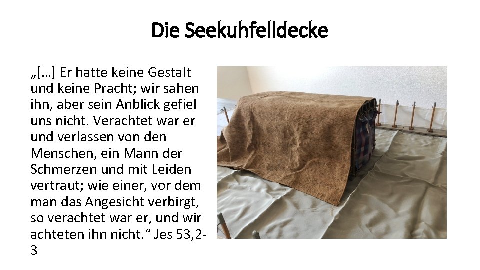 Die Seekuhfelldecke „[…] Er hatte keine Gestalt und keine Pracht; wir sahen ihn, aber