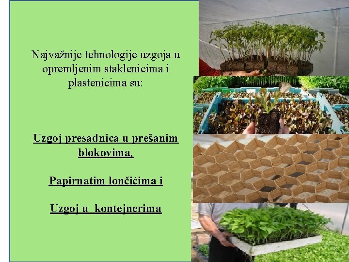 Najvažnije tehnologije uzgoja u opremljenim staklenicima i plastenicima su: Uzgoj presadnica u prešanim blokovima,