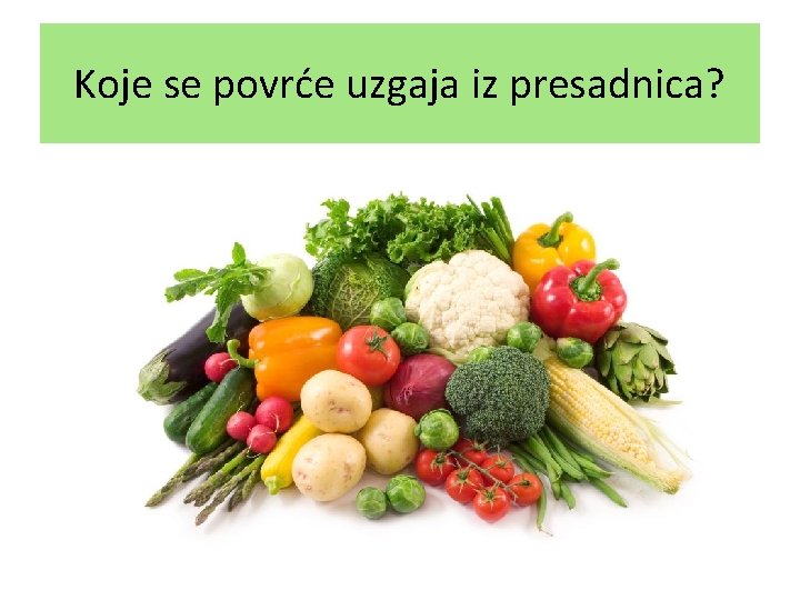 Koje se povrće uzgaja iz presadnica? 