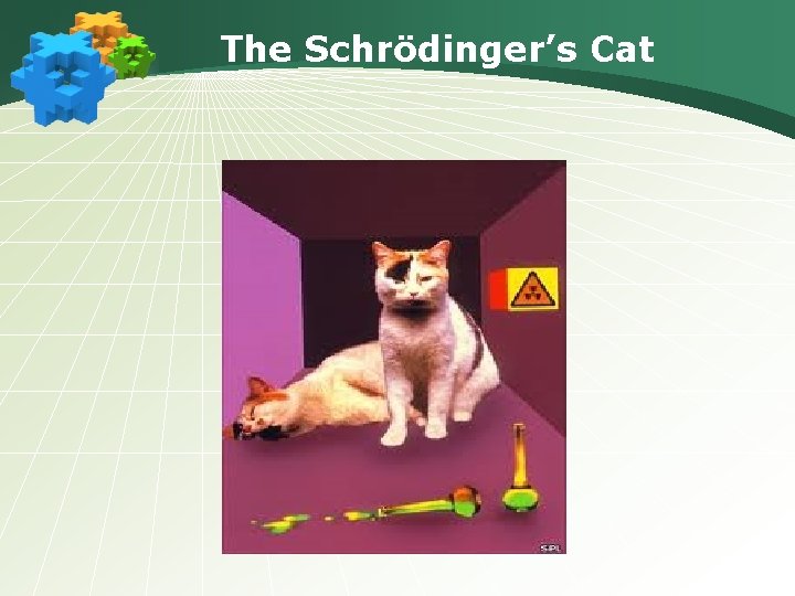 The Sсhrödinger’s Cat 