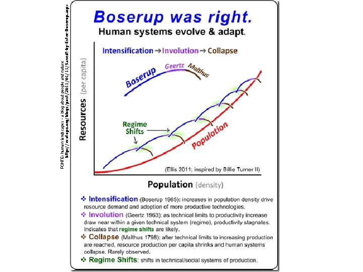 FONTE: human landscapes - a blog about people and nature http: //ecotope. org/blogs/post/2011/01/11/Saved!-by-Ester-Boserup. aspx