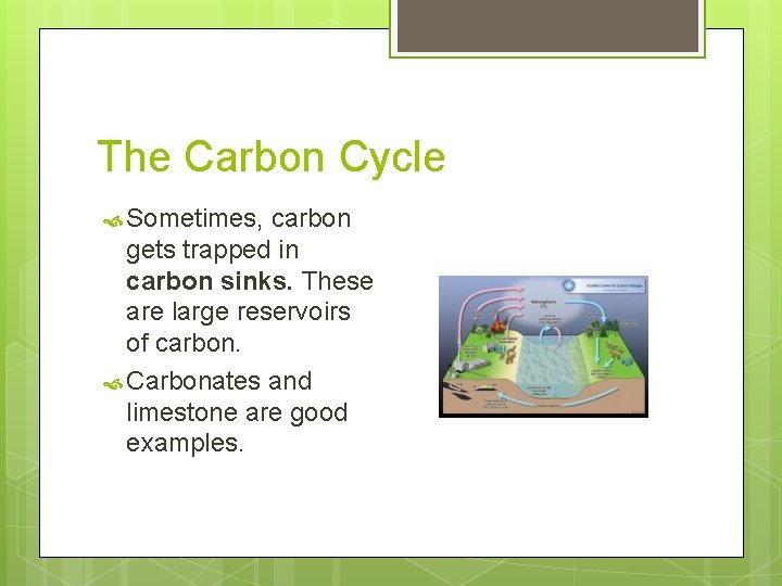 The Carbon Cycle Sometimes, carbon gets trapped in carbon sinks. These are large reservoirs The Carbon Cycle Sometimes, carbon gets trapped in carbon sinks. These are large reservoirs