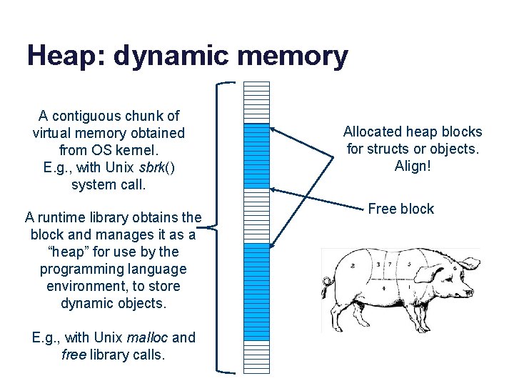 Heap: dynamic memory A contiguous chunk of virtual memory obtained from OS kernel. E.