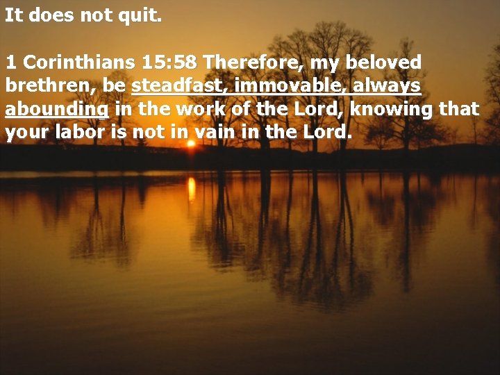 It does not quit. 1 Corinthians 15: 58 Therefore, my beloved brethren, be steadfast,